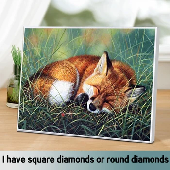 5D DIY diamond vez Lisica je Puna trg / okrugli bušenje Diamond slikarstvo Vez križić Životinja Ručni rad Home dekor Art poklon - Slika 2  