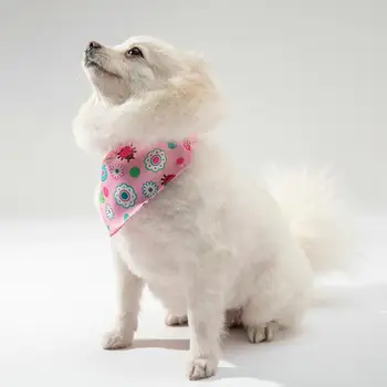 Startni broj za pse, pogodan u čarapu, ukrasni fin dugo nosio je startni broj za kućne ljubimce - Slika 2  