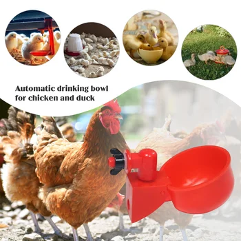 6pcs Поилка za kokoši i patke Plastični Automatski поилочный fontana za domaće peradi Praktične praktične alate za hranjenje domaćih životinja - Slika 2  