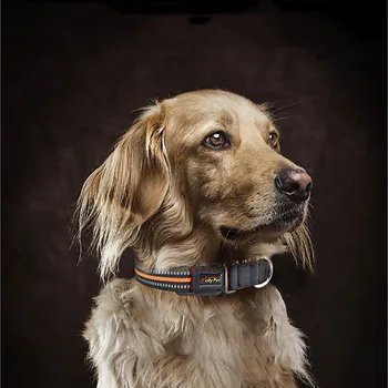 Ogrlica za pse na uzici, noćni reflektirajućim ogrlica za pse, mrežaste tkanine, prozračna pribor za kućne ljubimce, ogrlica za pse - Slika 2  